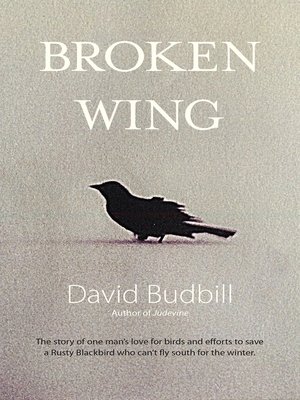cover image of Broken Wing